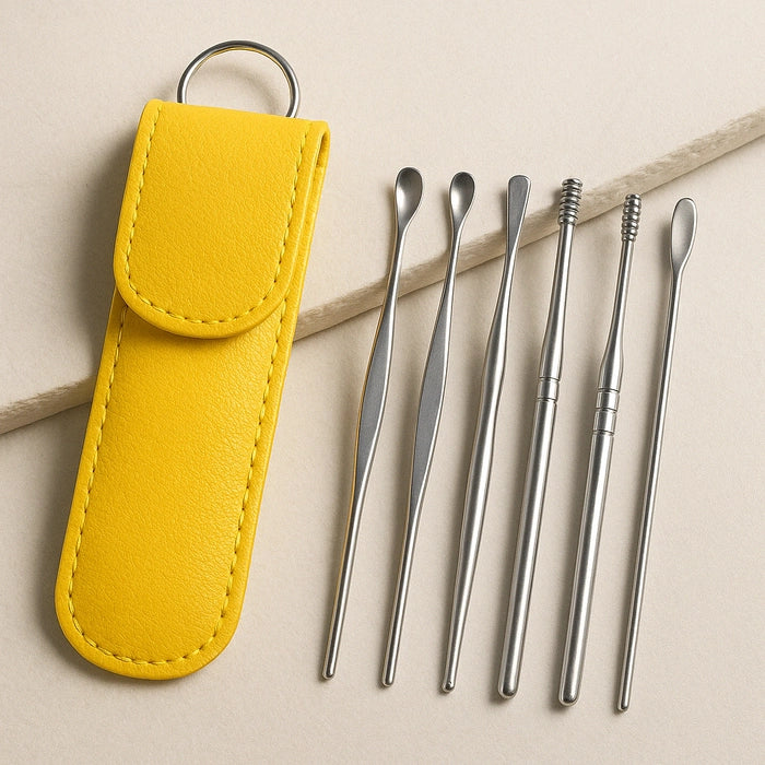 Premium 6-Piece Stainless Steel Spiral Ear Wax Removal Cleaner Tool Set with Holster